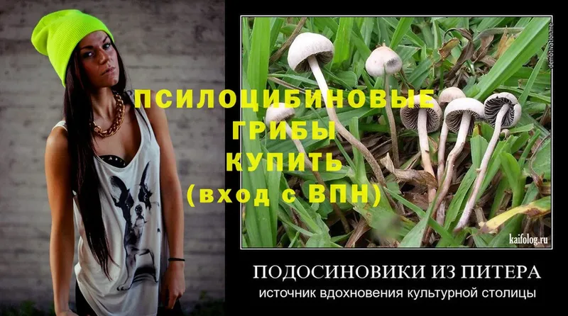 что такое наркотик  Морозовск  blacksprut как зайти  Псилоцибиновые грибы Cubensis 